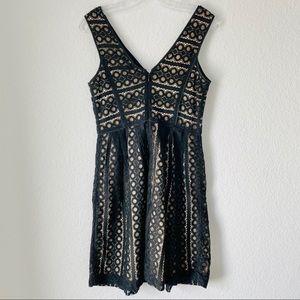 Loft Black and Tan lace detail cocktail dress